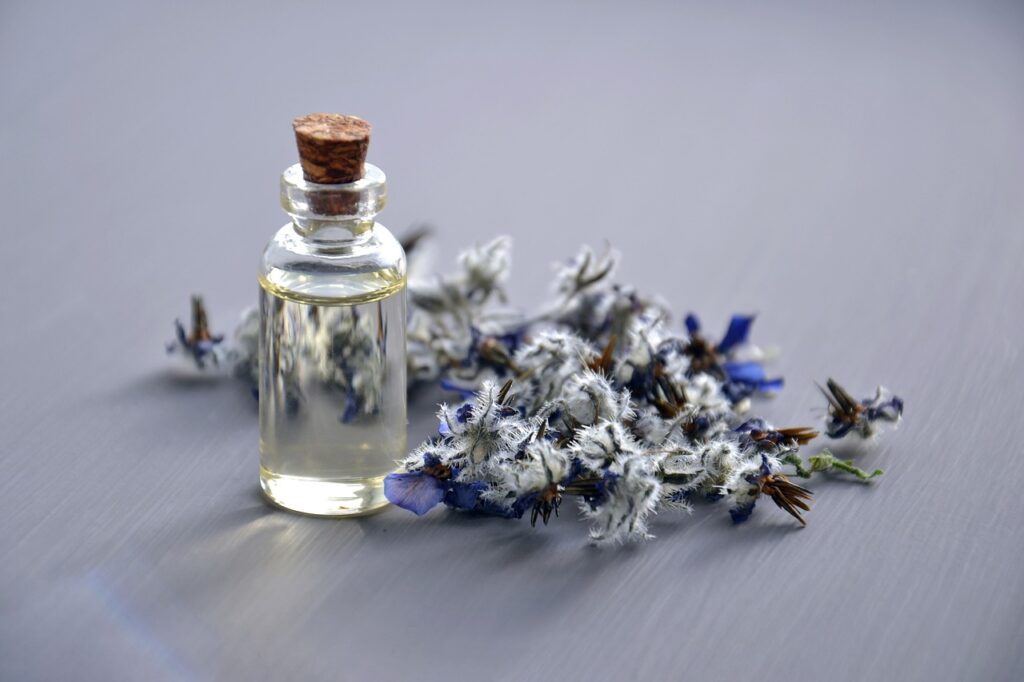 cosmetic oil, natural cosmetic, borago officinalis-3164684.jpg